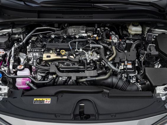 Motor & Verbrauch