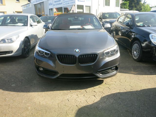 BMW 218 Sport Line,Automatik,Leder,Navi