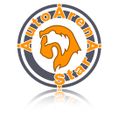 AutoArenA-Star GmbH