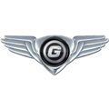 Auto Gama