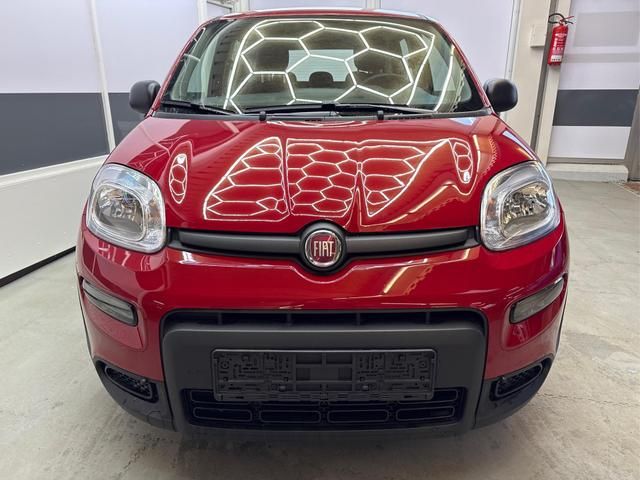 Fiat Panda EDITION KOPFSTÜTZEN AUF RÜCKBANK PDC KL...
