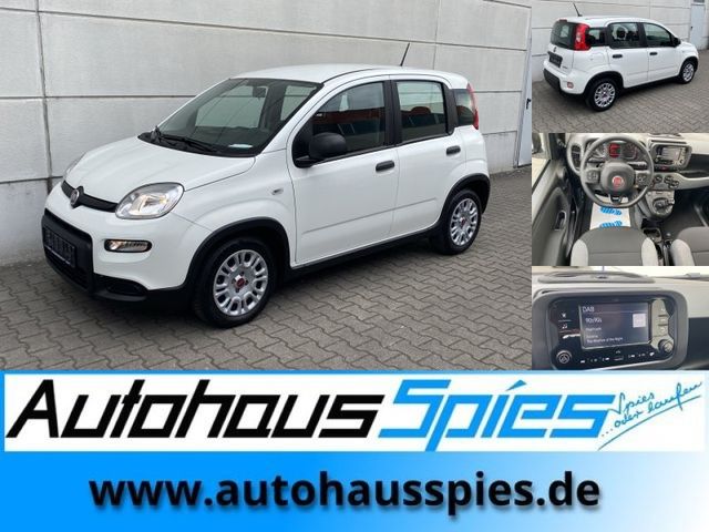 Fiat Panda 1.0 Mild Hybrid Base Klima DAB