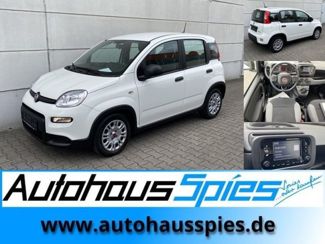 Fiat Panda 1.0 Mild Hybrid Base Klima DAB