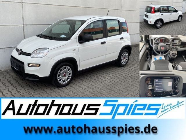 Fiat Panda 1.0 Mild Hybrid Base Klima DAB