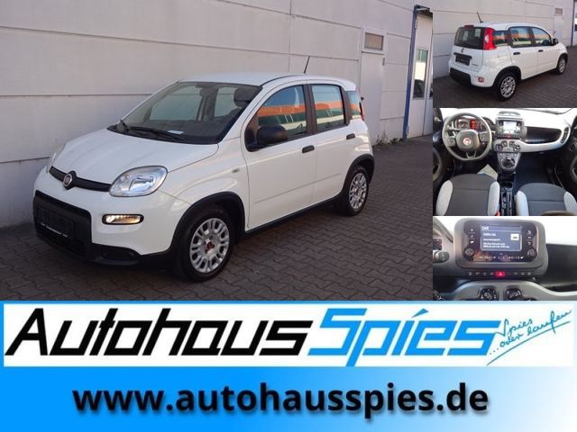 Fiat Panda 1.0 Mild Hybrid Base Klima DAB