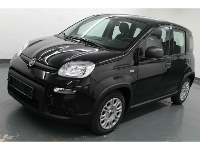 Fiat Panda 1.0 GSE DAB+PDC!