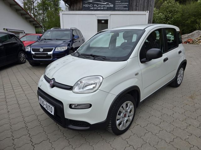 Fiat Panda 4x4 "EXPORT"