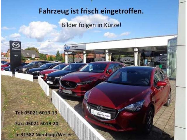 Ford Ranger 2,0 l EcoBlue Doppelkabine Autm. Wildtrak