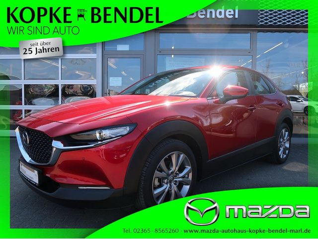 Mazda CX-30 *Sondermodell mit Top-Ausstattung in Bestzustand* 100th Anniversary*Sondermodell mit vielen Extras*