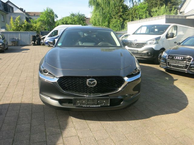 Mazda CX-30 Selection,Leder,Navi