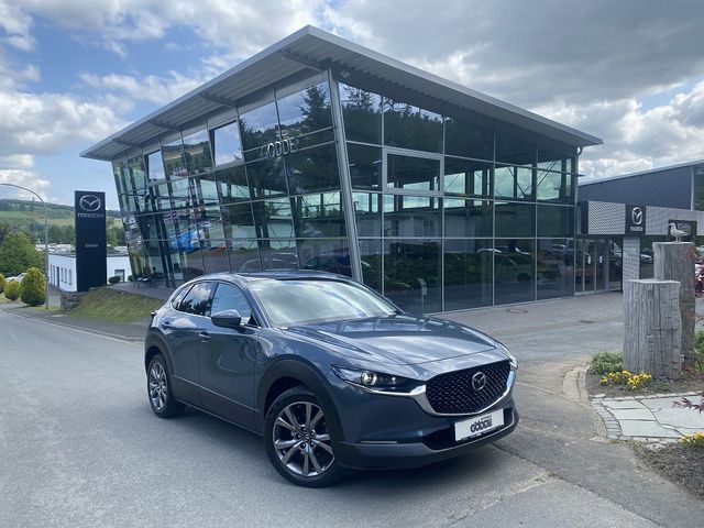 Mazda CX-30 186 PS Selection Matrix-LED Winterräder