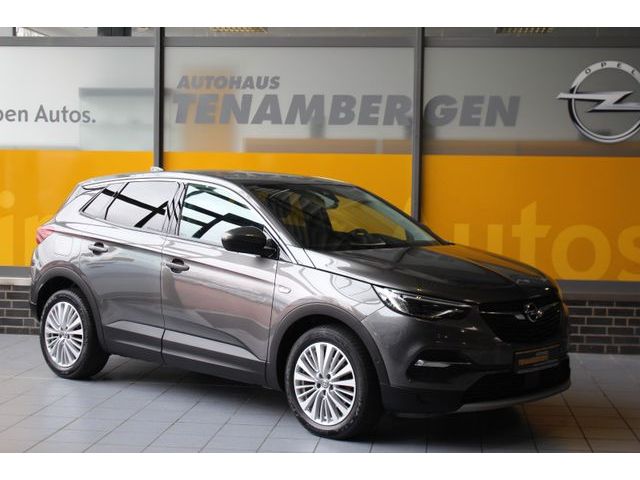 Opel Grandland X Innovation AT-8 Navi Kamera LED AHK