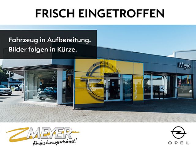 Opel Movano Kasten 2.2D L3H2 Standheiz. Holz Klima All