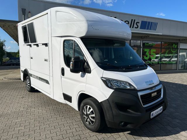 Peugeot Boxer MSG Pferdetransporter Stable Hopper