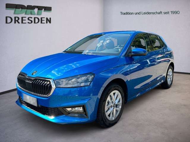 Skoda Fabia Special/DAB+/SHZ/EPH *Allwetterreifen*