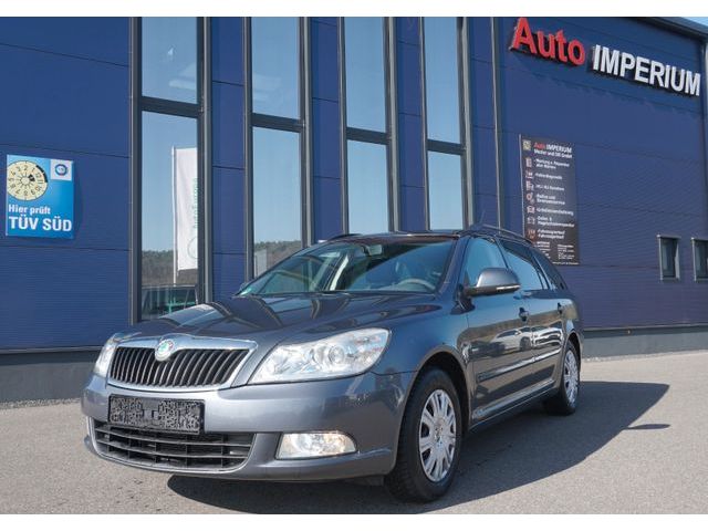 Skoda Octavia Combi Ambiente*AHK*8 Fach bereift