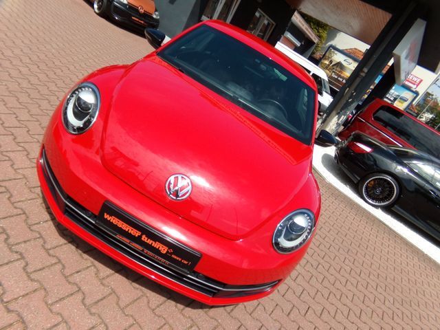 VW Beetle Lim. Sport, Fender Edition, Leder , Xenon