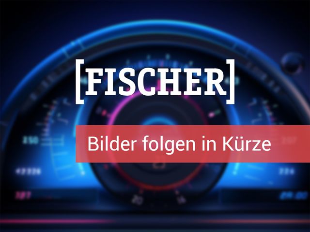 VW Passat 2.0 R-line EU6e R-Line 2,0 l TDI SCR 110 kW (150